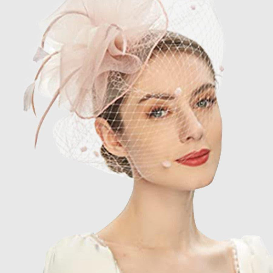 Pretty Net Yarn Headwear Veil Tea Party Dress Hats MTS0011 - MISS ORD